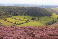 Hole of Horcum – Levisham – Newtondale circular walk