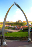 Whitby to Widdy Head