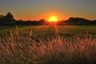 Summer Solstice Walking Challenge on the North York Moors
